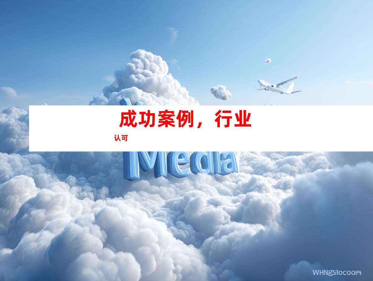  成功案例，行业认可 