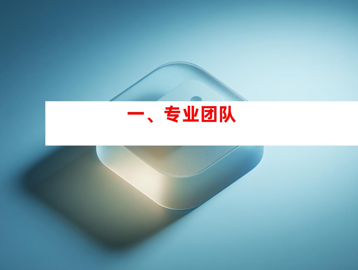 一、专业团队