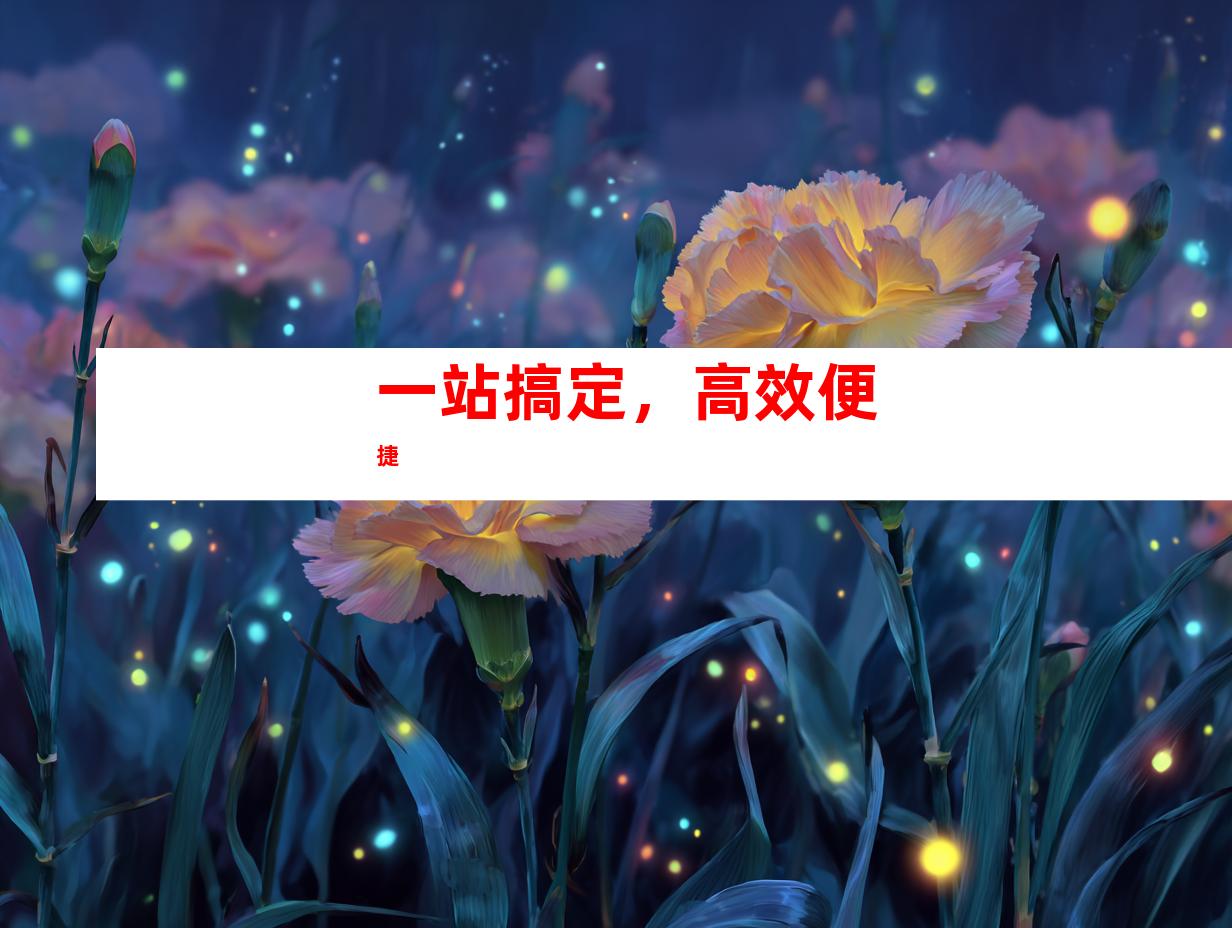 一站搞定，高效便捷