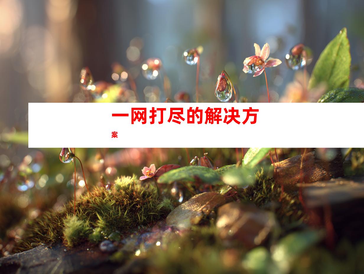 一网打尽的解决方案
