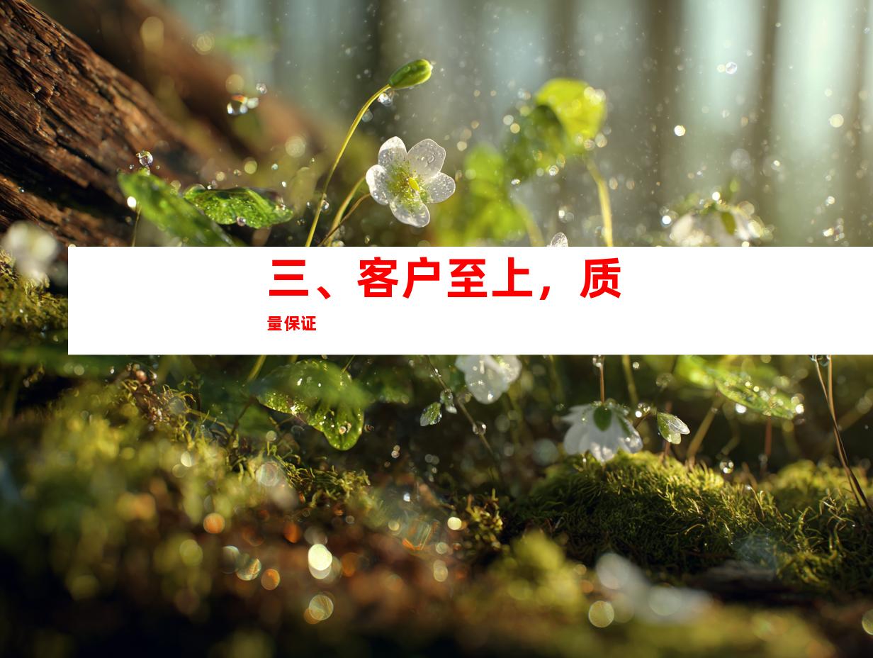 三、客户至上，质量保证