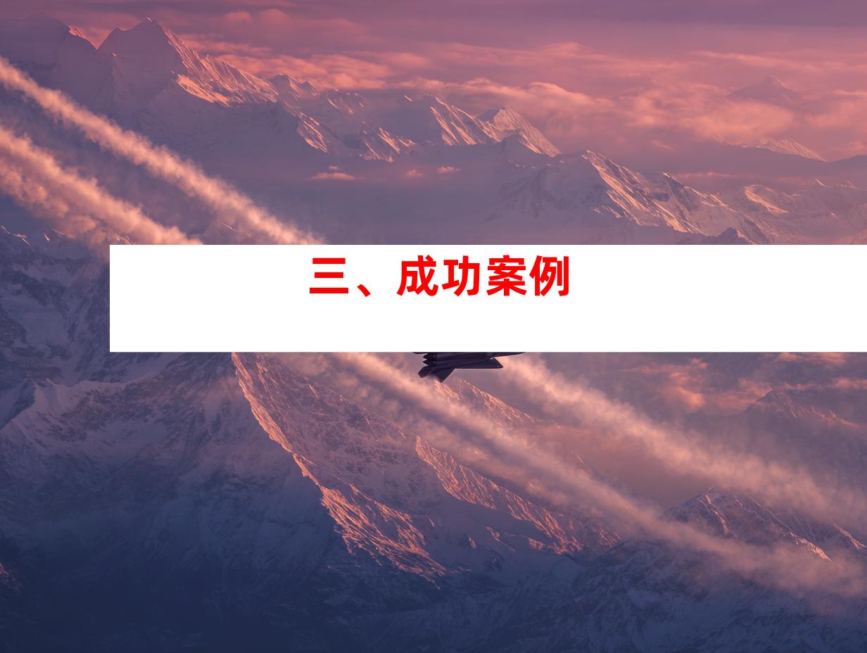 三、成功案例