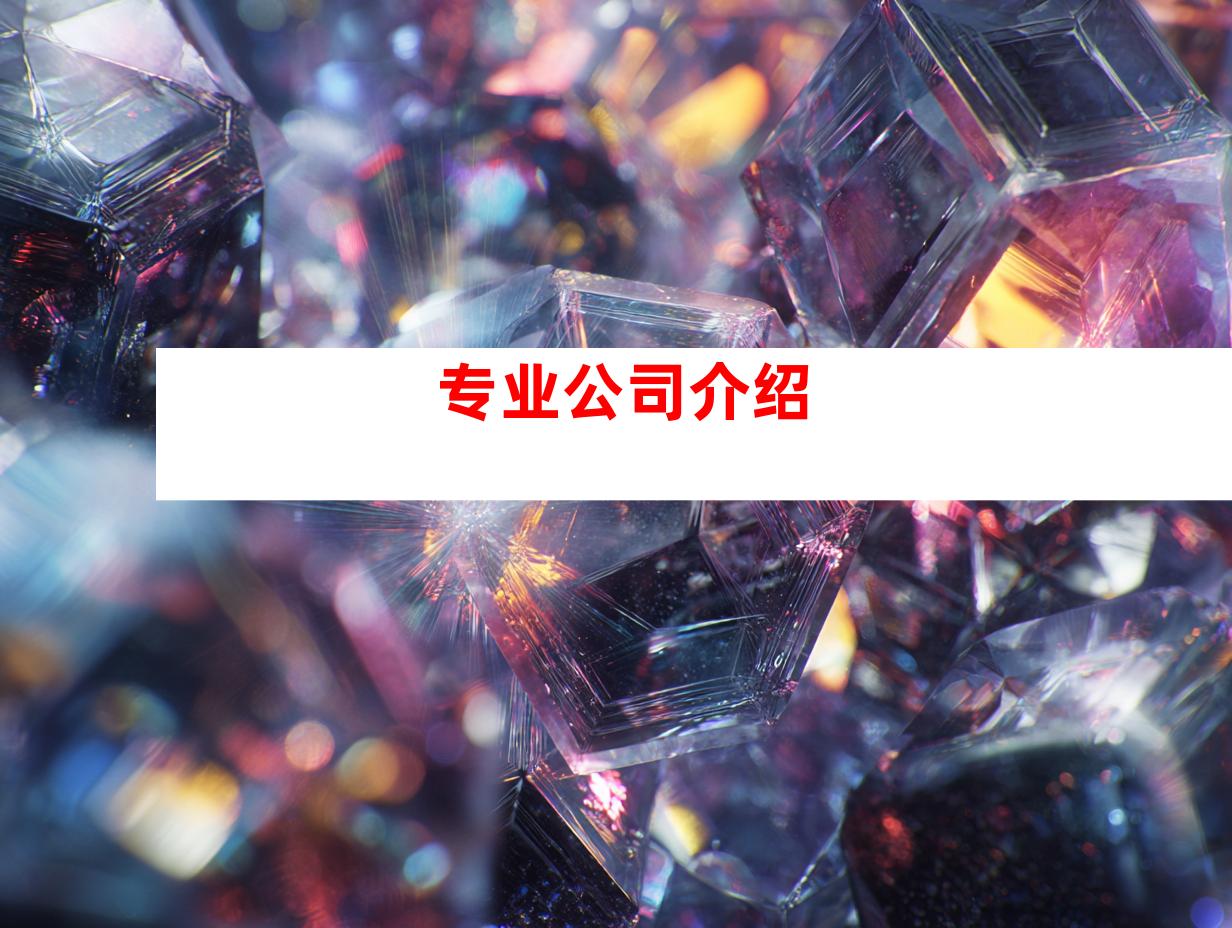 专业公司介绍
