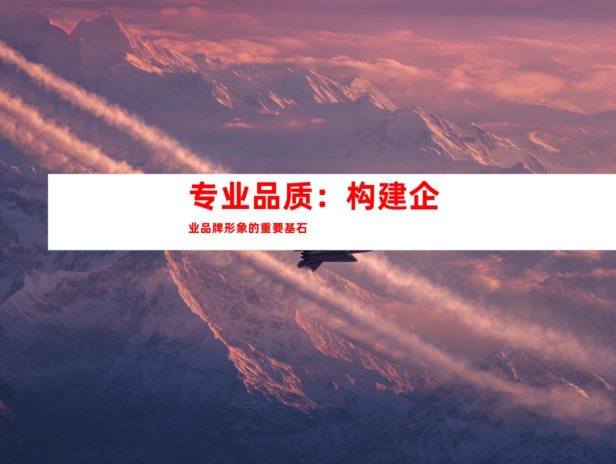 专业品质：构建企业品牌形象的重要基石