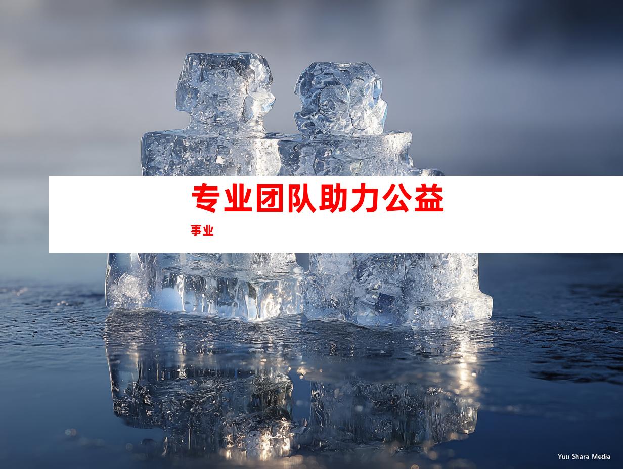 专业团队助力公益事业