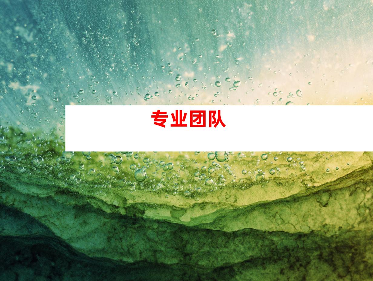 专业团队