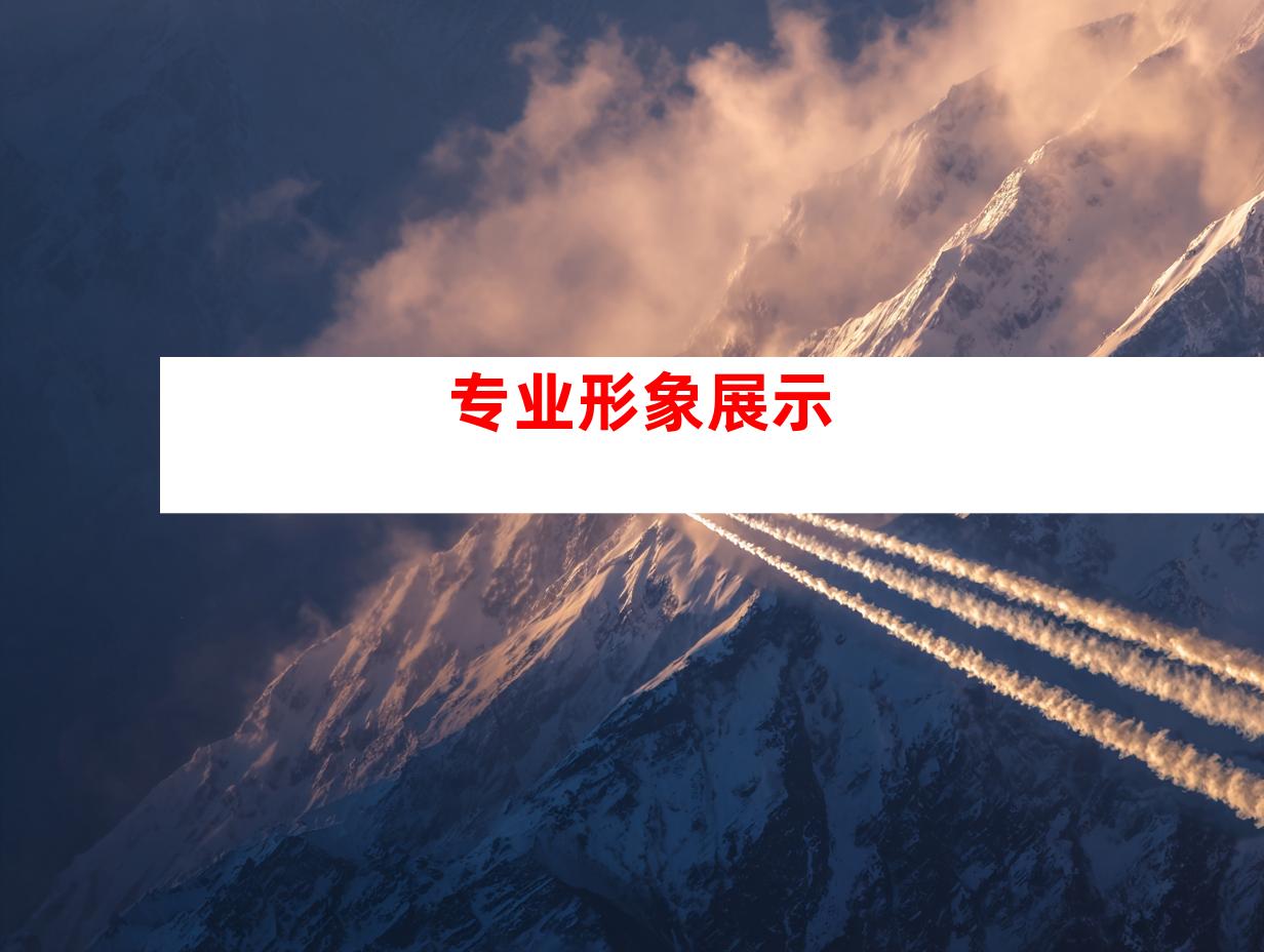 专业形象展示