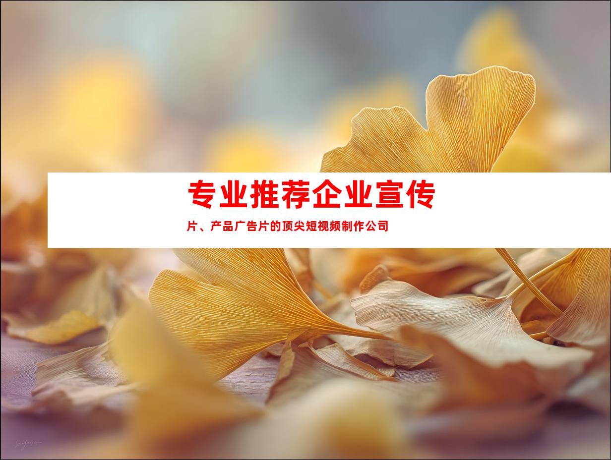 专业推荐企业宣传片、产品广告片的顶尖短视频制作公司