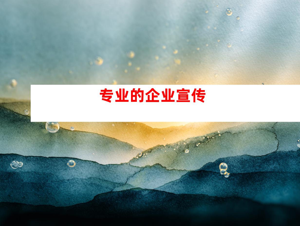 专业的企业宣传