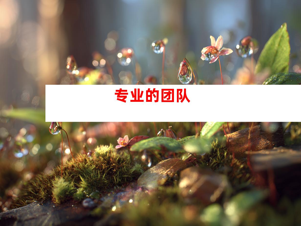 专业的团队