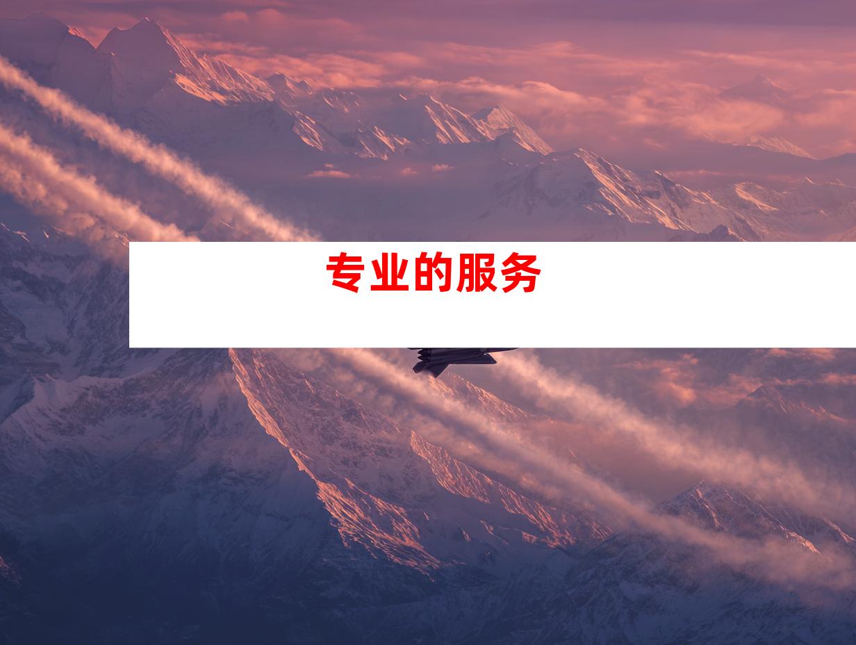 专业的服务