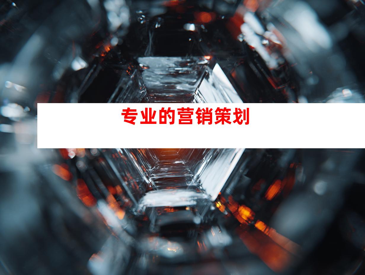 专业的营销策划