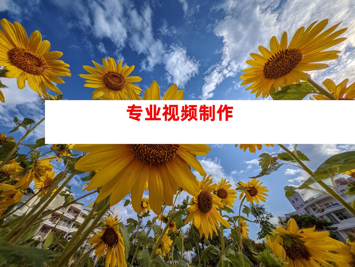 专业视频制作