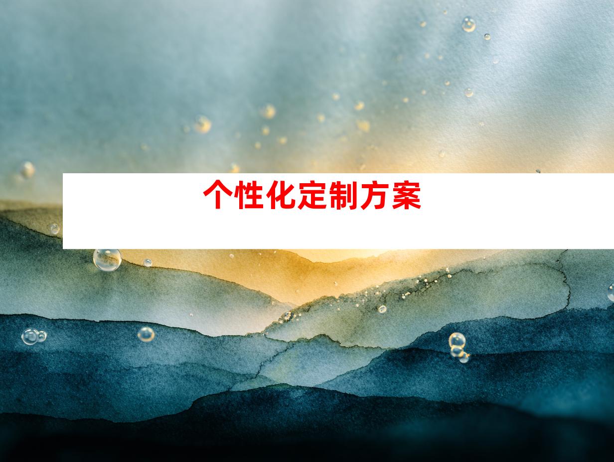 个性化定制方案