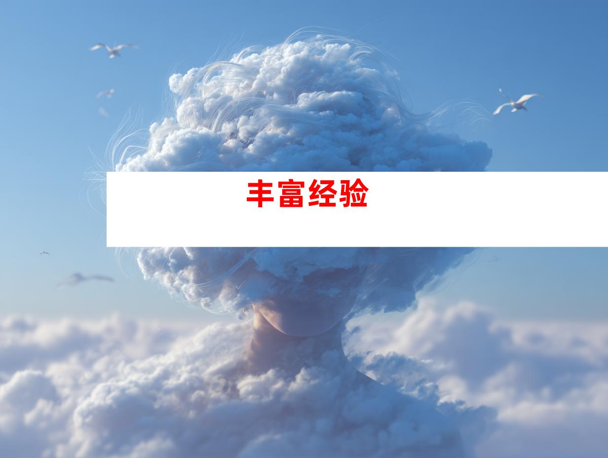 丰富经验