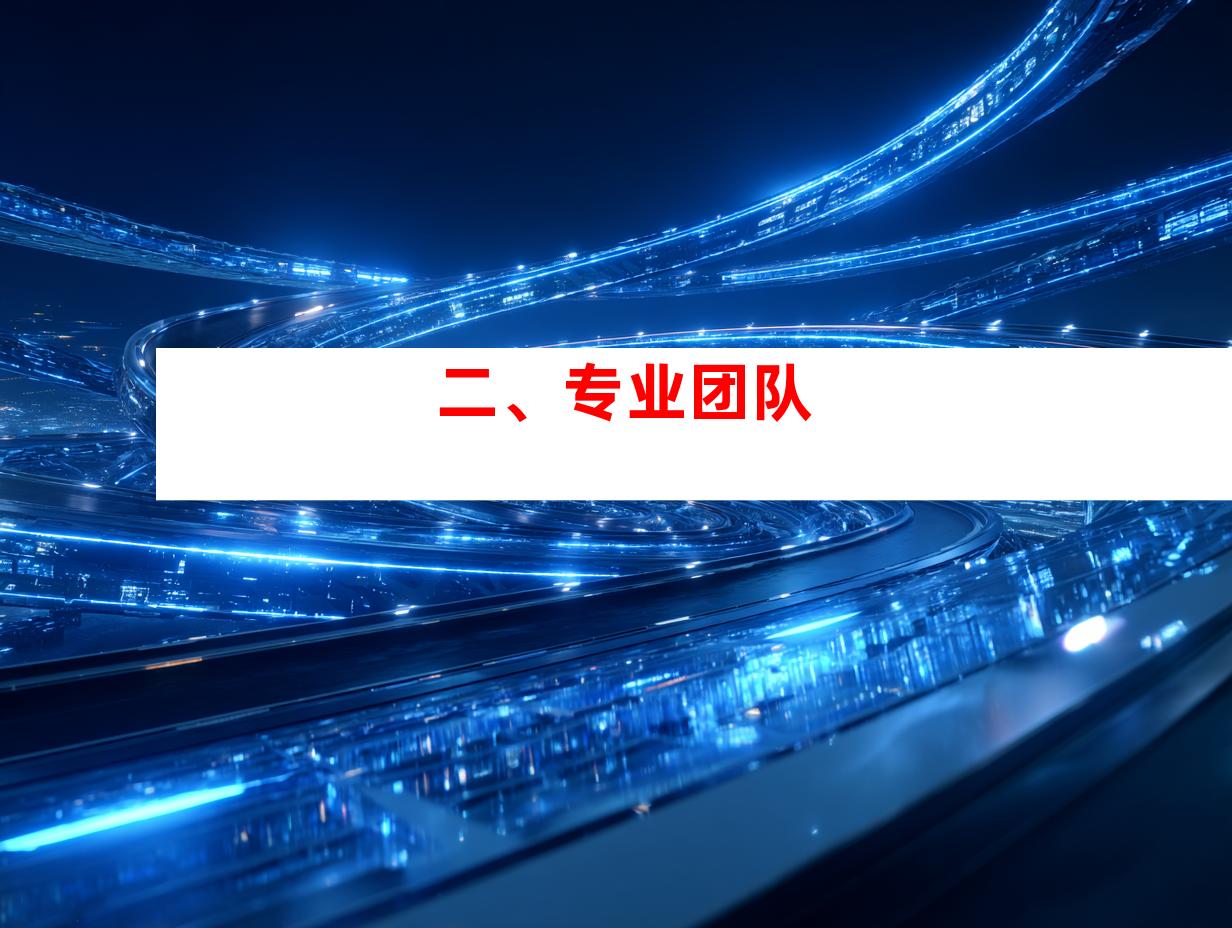 二、专业团队
