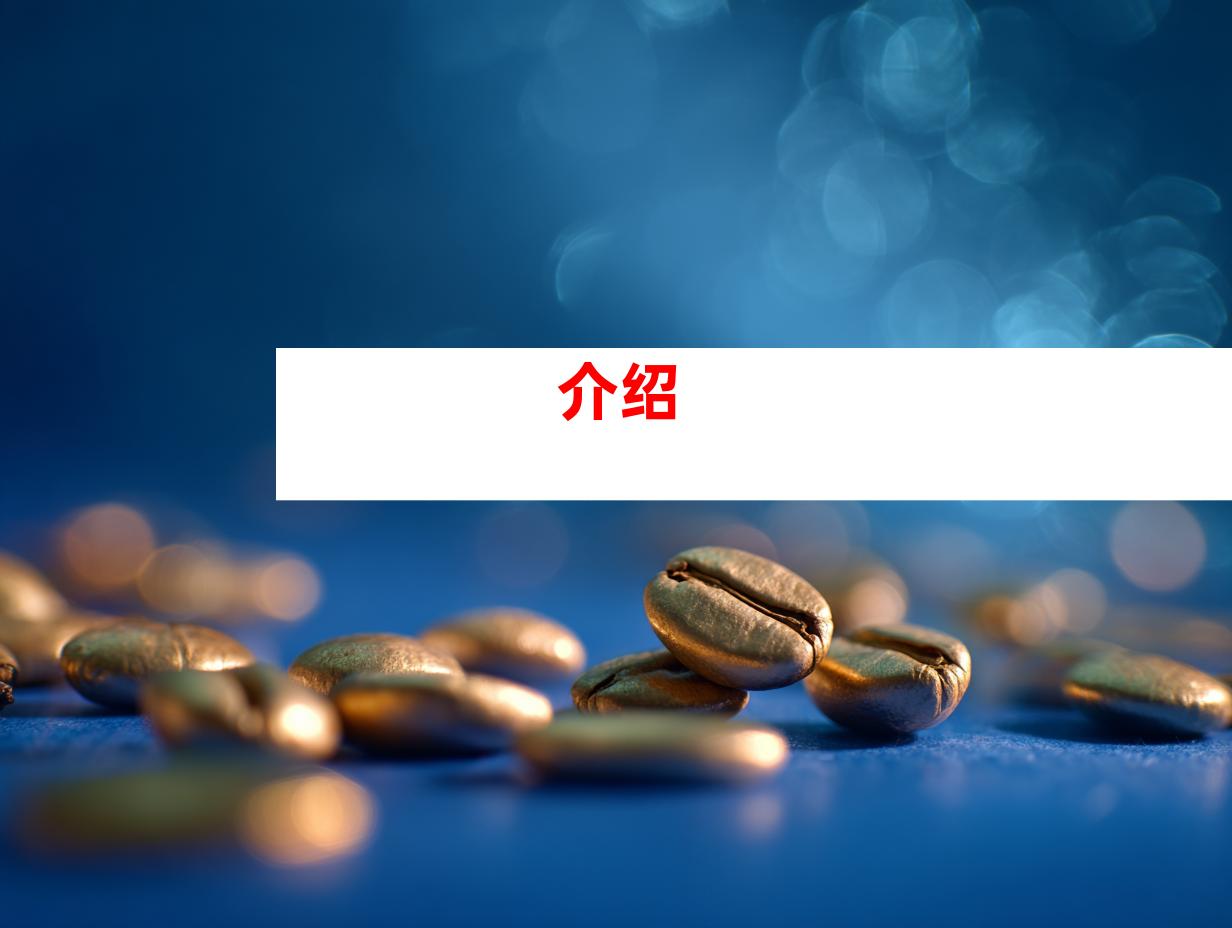 介绍
