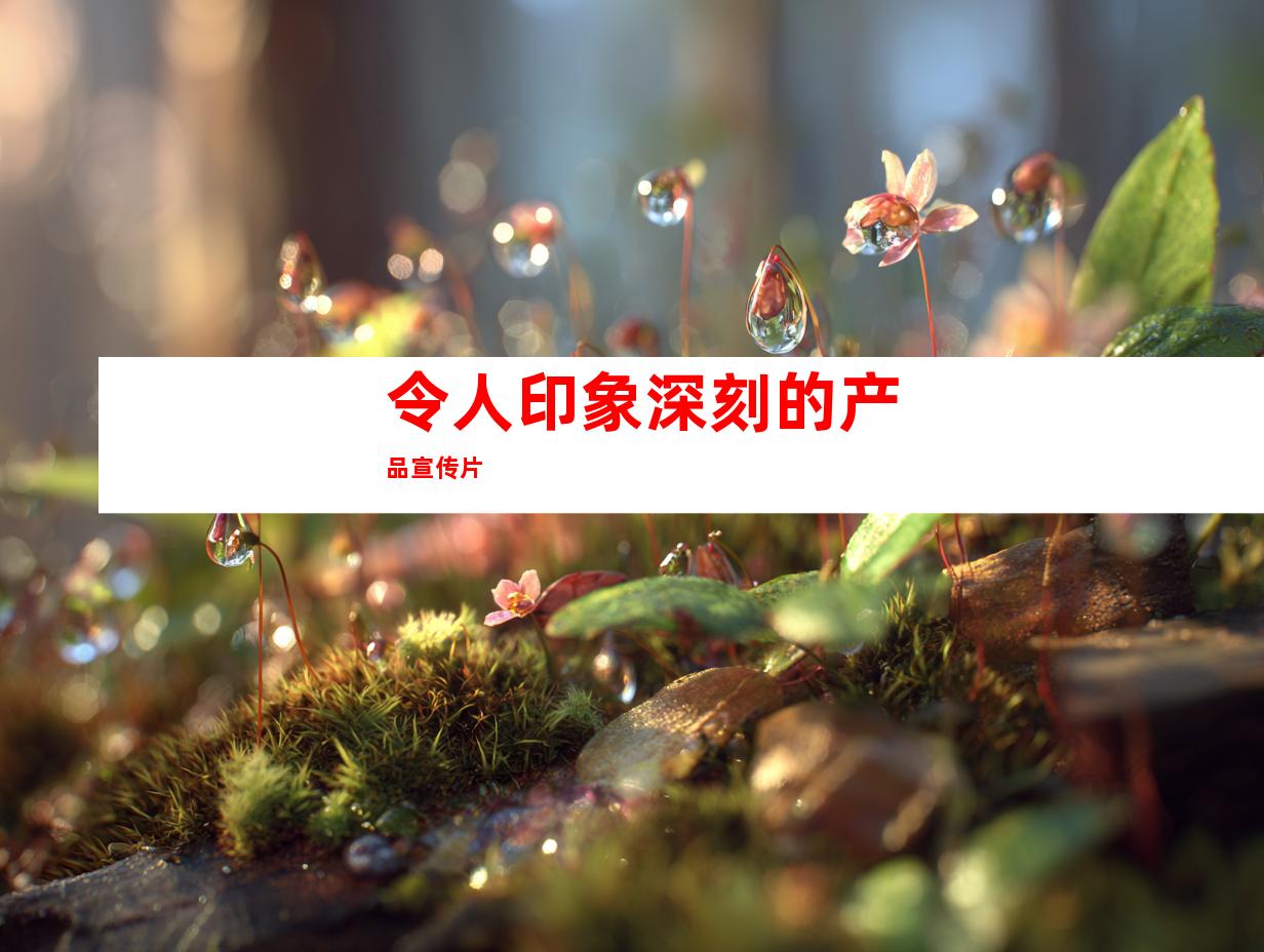 令人印象深刻的产品宣传片