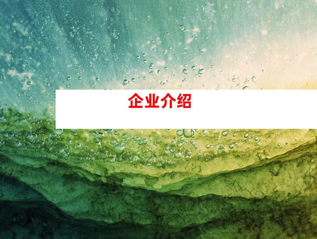 企业介绍