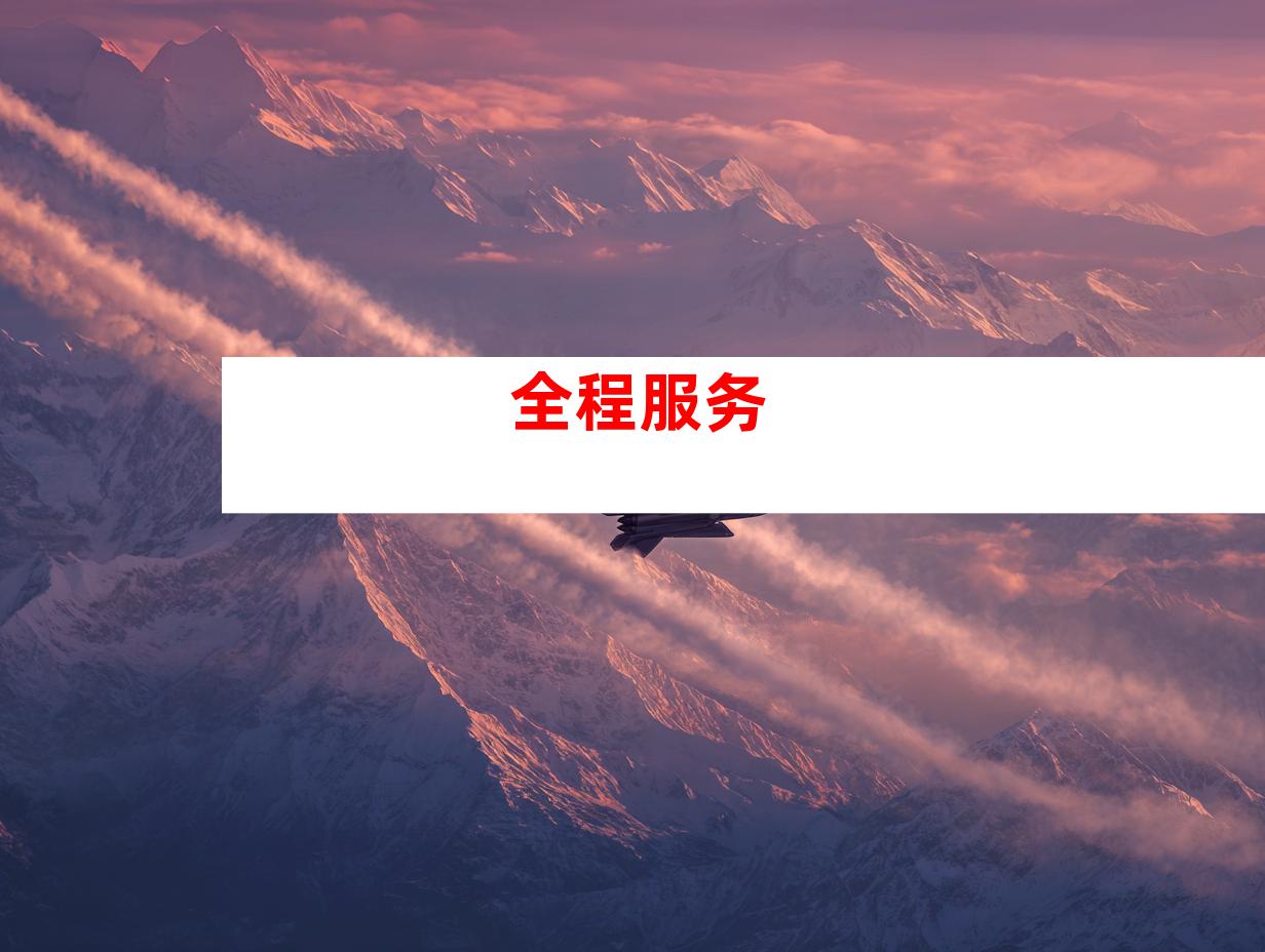 全程服务