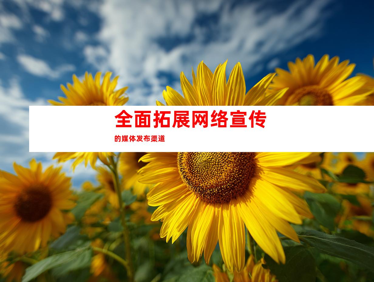 全面拓展网络宣传的媒体发布渠道
