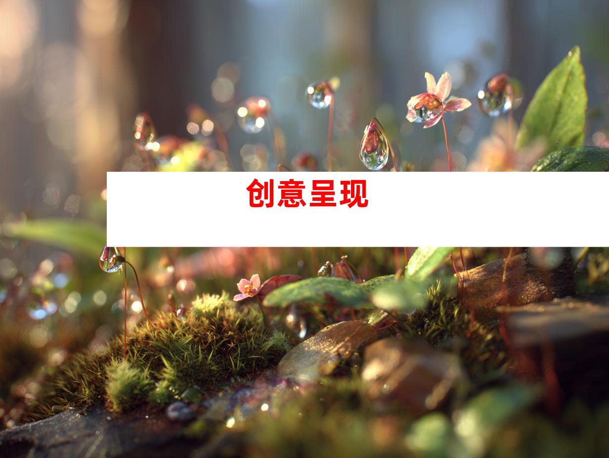 创意呈现