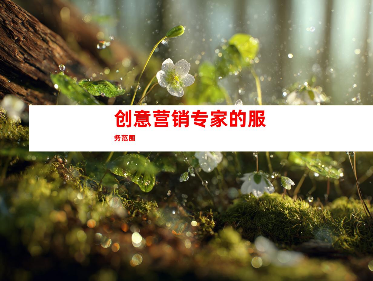 创意营销专家的服务范围