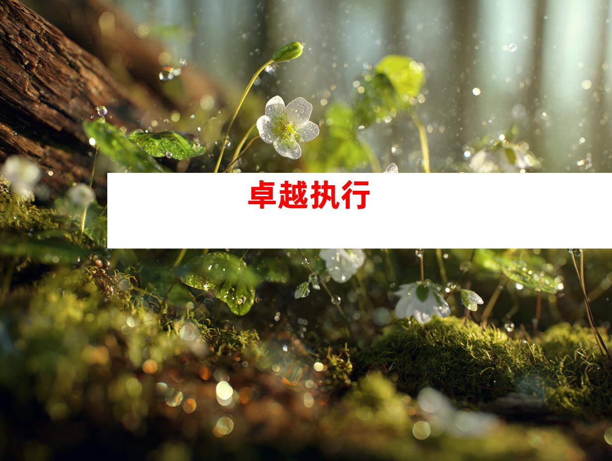 卓越执行