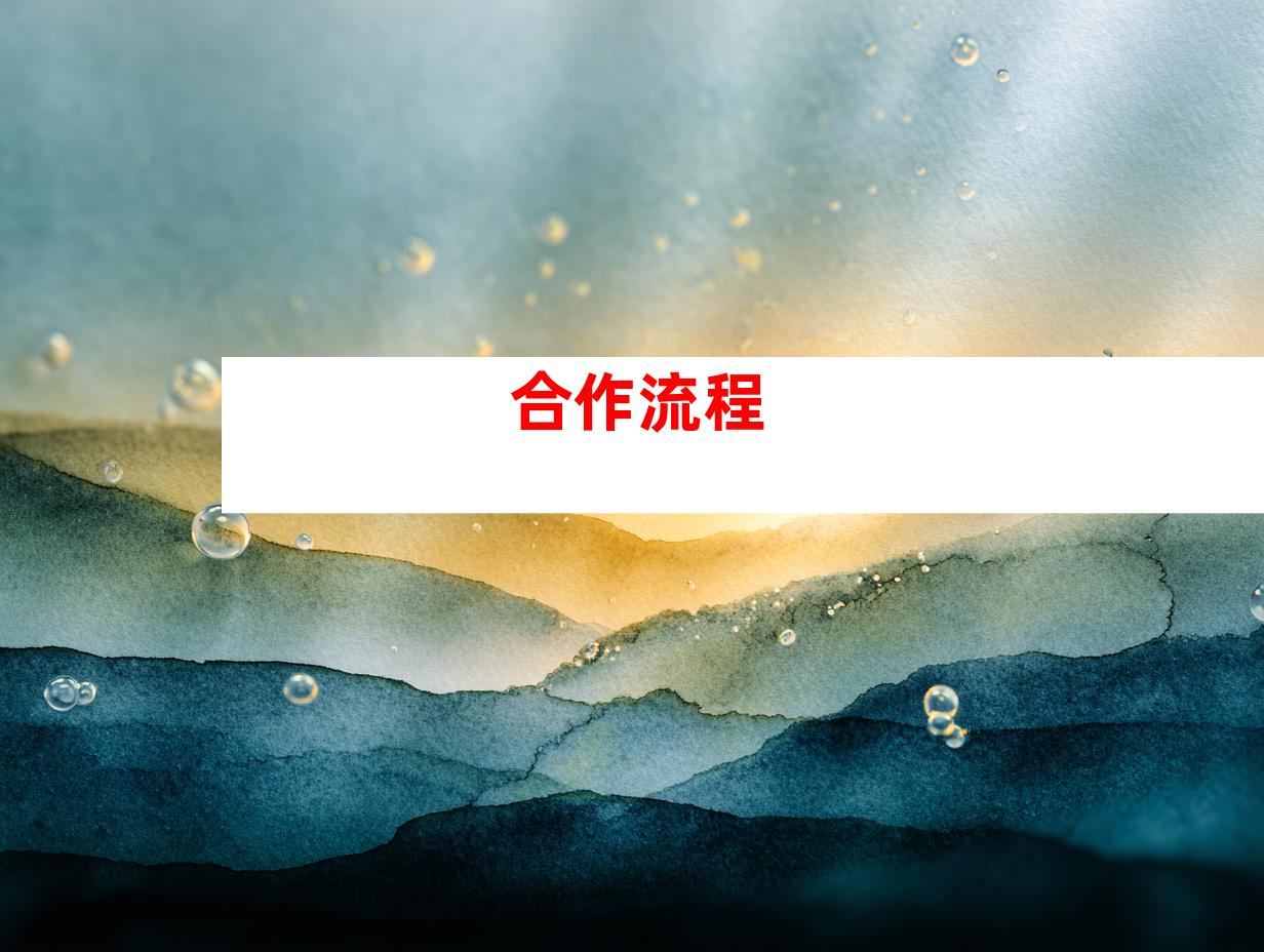 合作流程