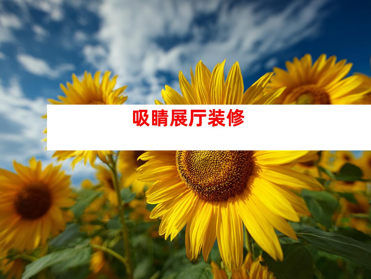吸睛展厅装修