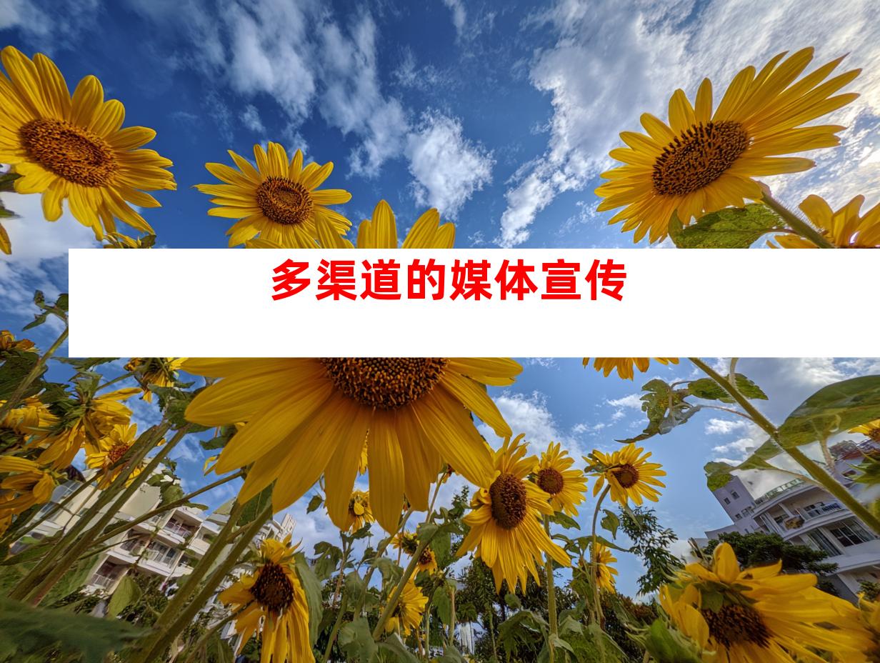 多渠道的媒体宣传