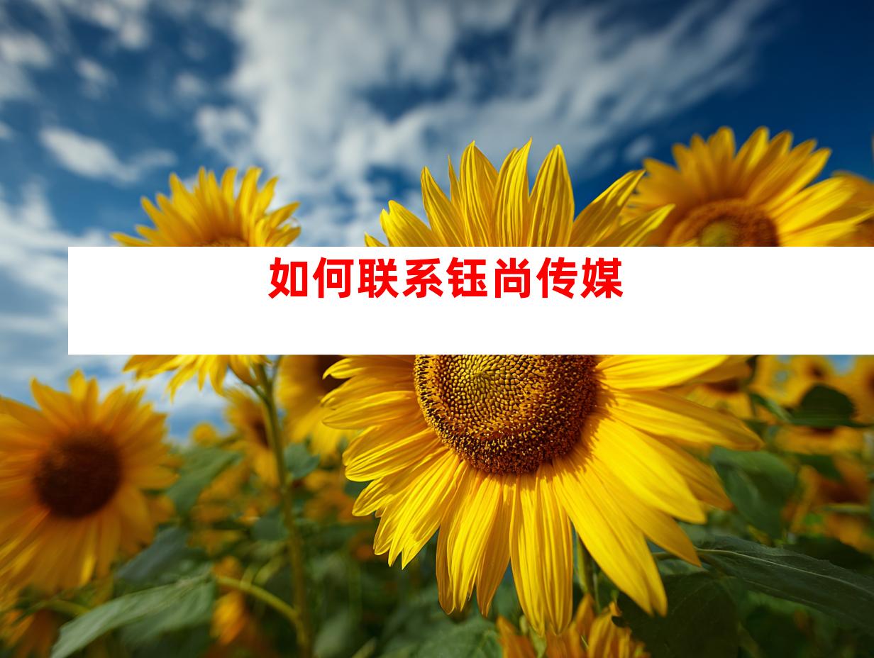 如何联系钰尚传媒