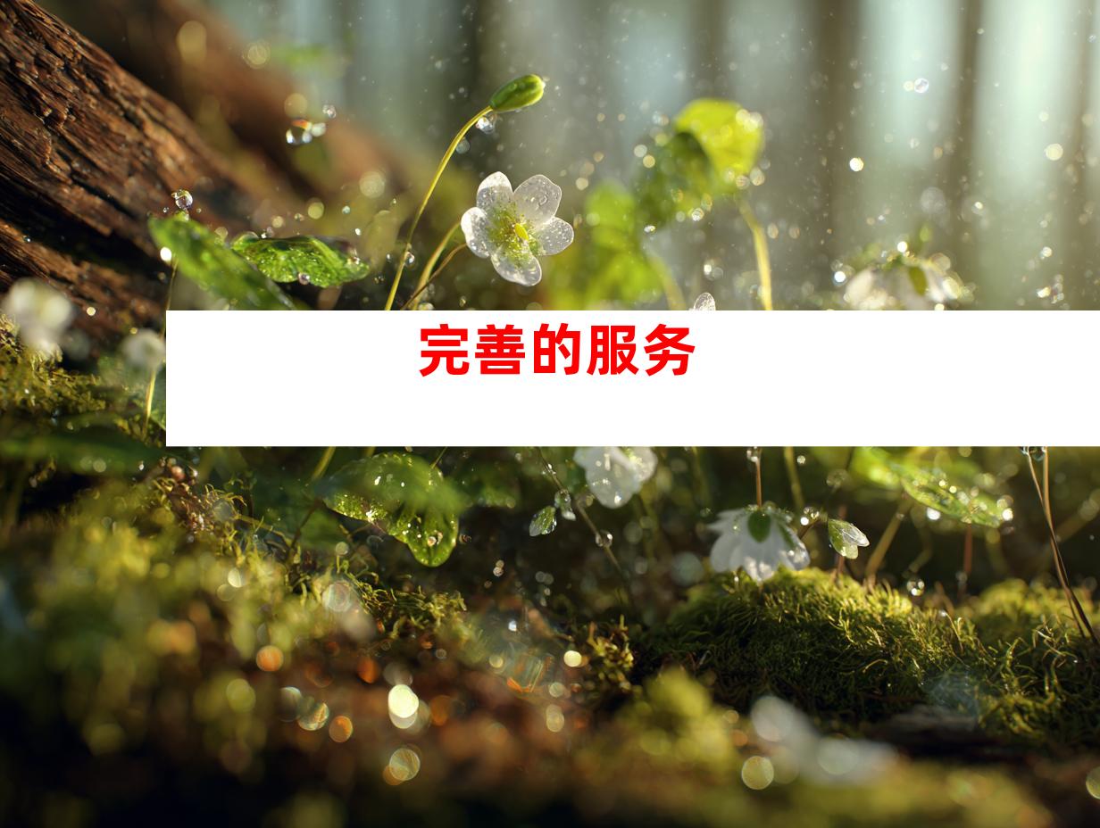 完善的服务