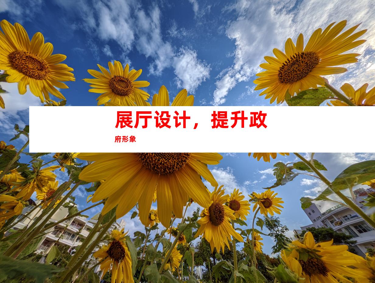 展厅设计，提升政府形象