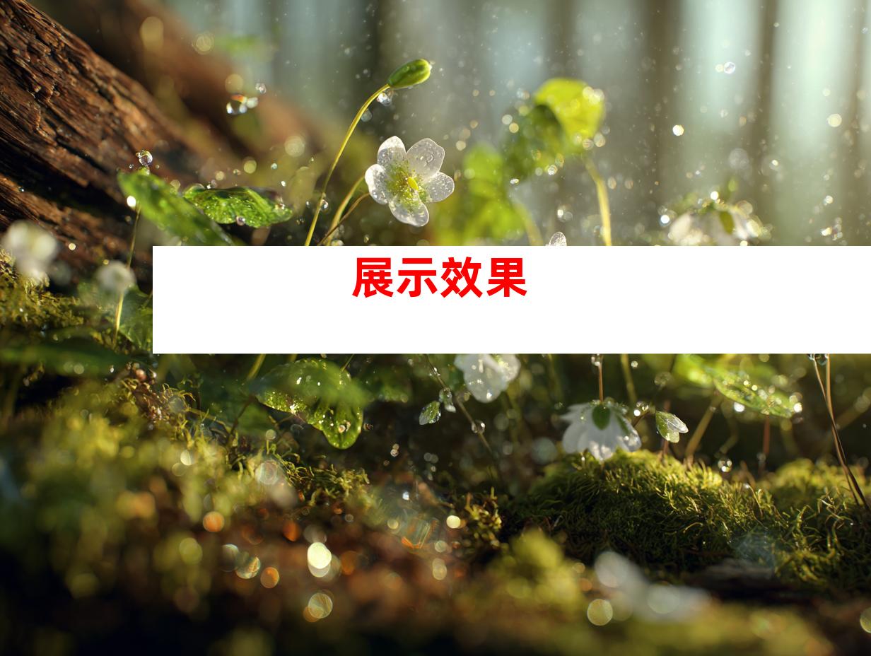 展示效果