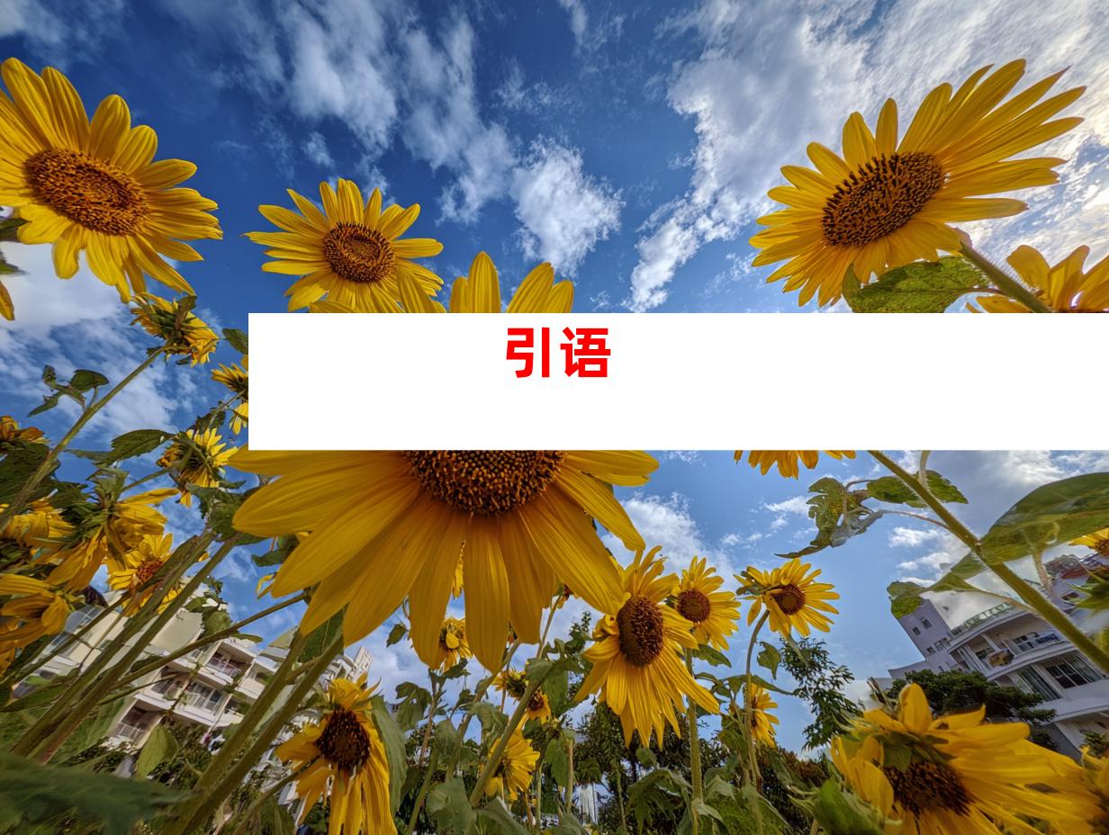 引语