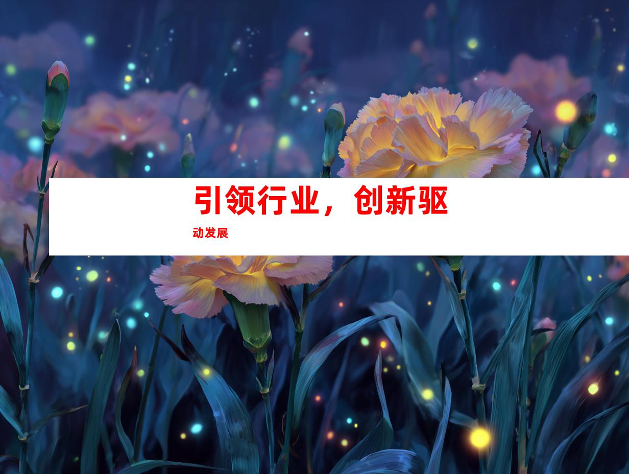 引领行业，创新驱动发展
