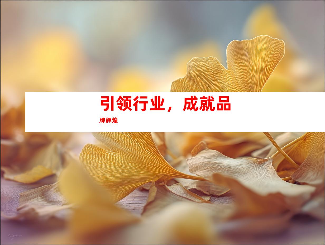 引领行业，成就品牌辉煌