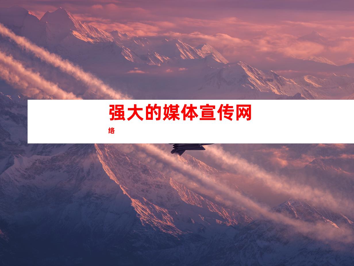 强大的媒体宣传网络