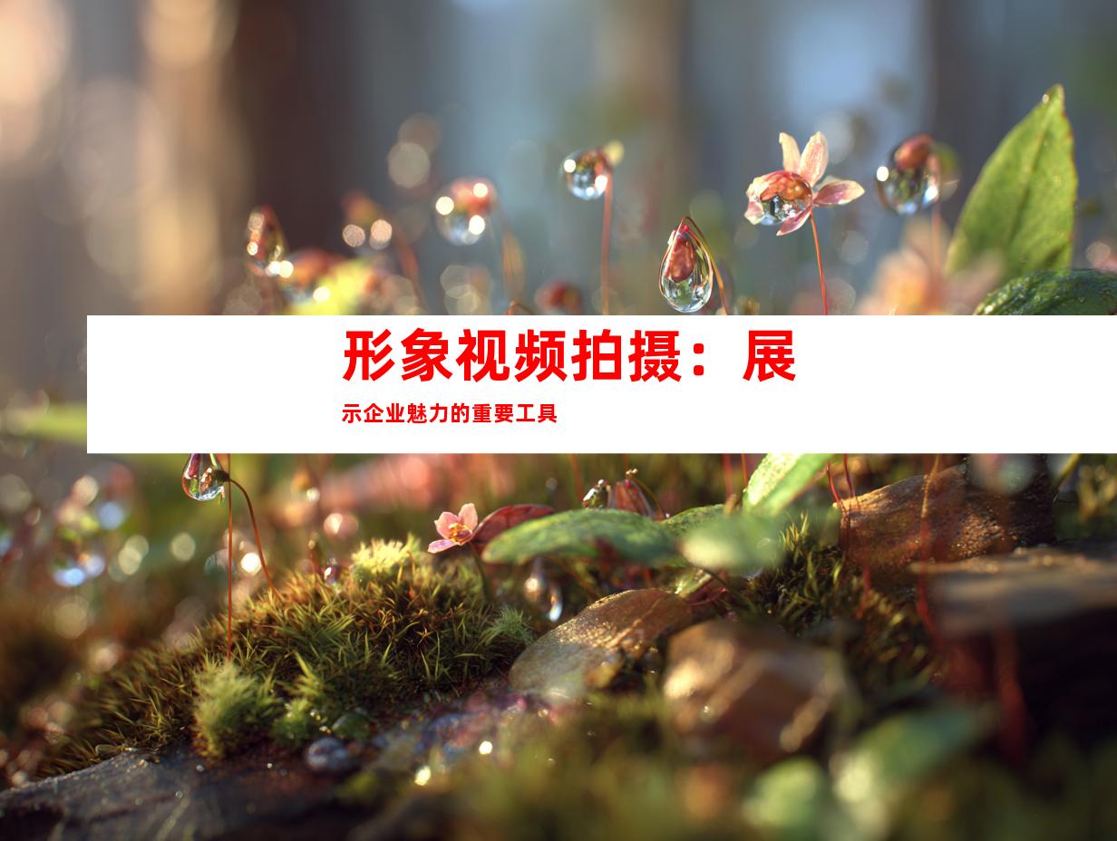 形象视频拍摄：展示企业魅力的重要工具