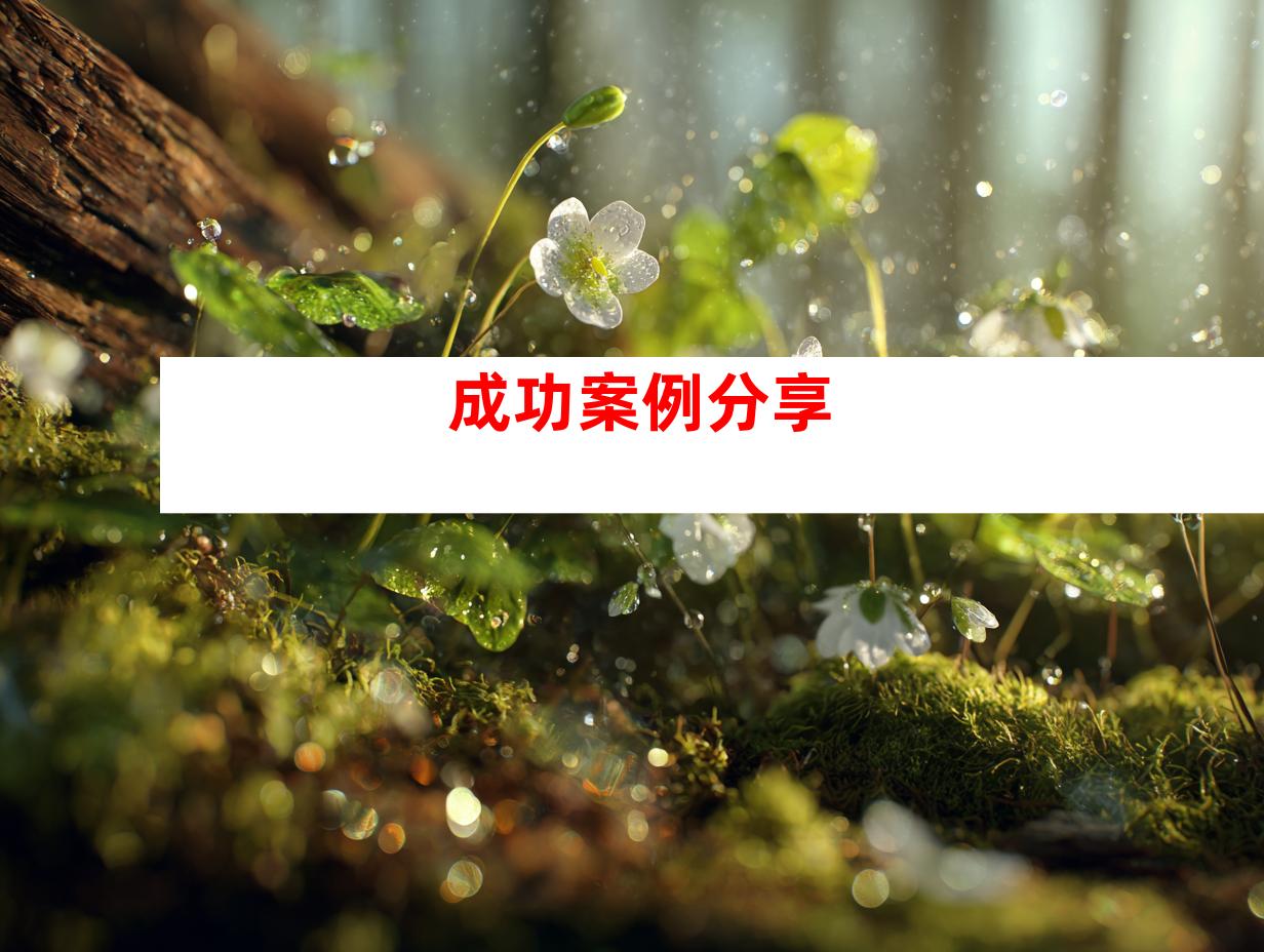 成功案例分享