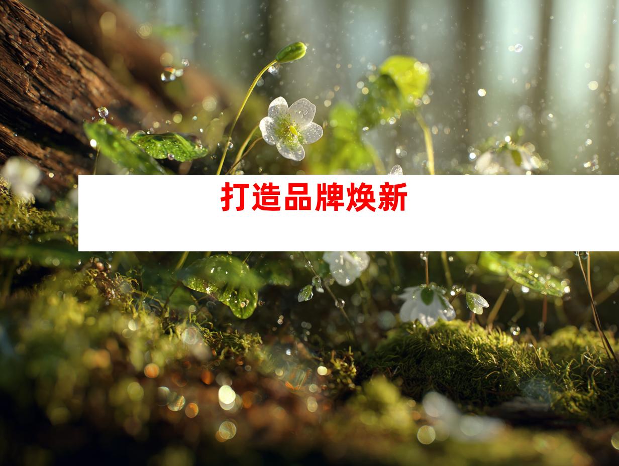 打造品牌焕新