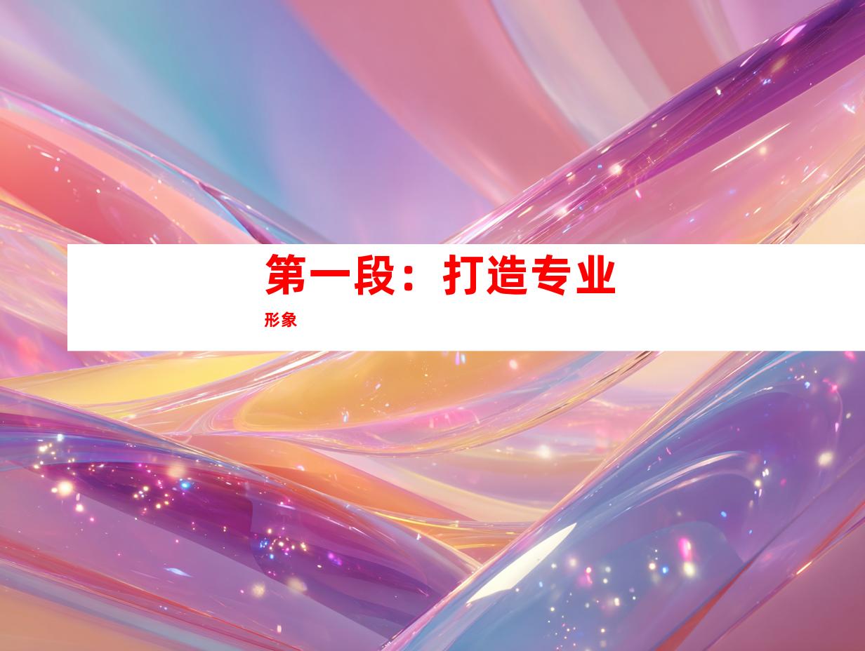 第一段：打造专业形象