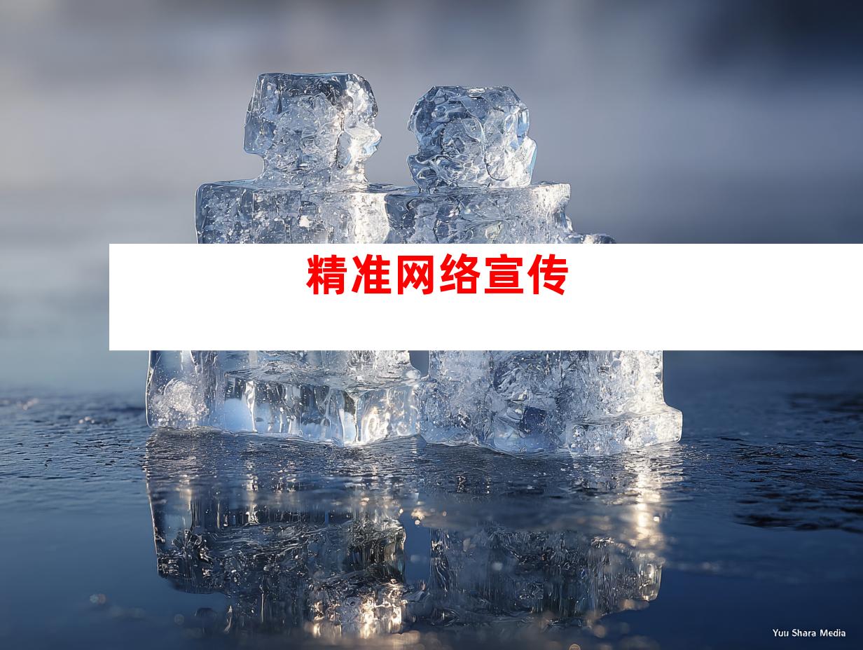 精准网络宣传