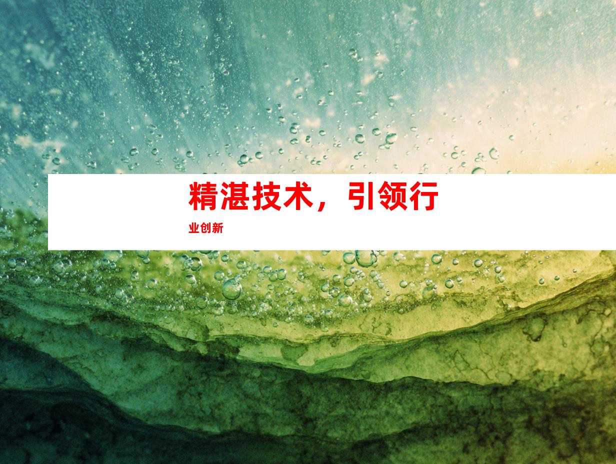精湛技术，引领行业创新