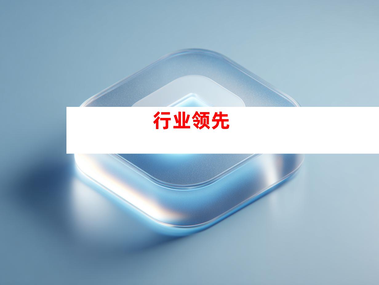 行业领先
