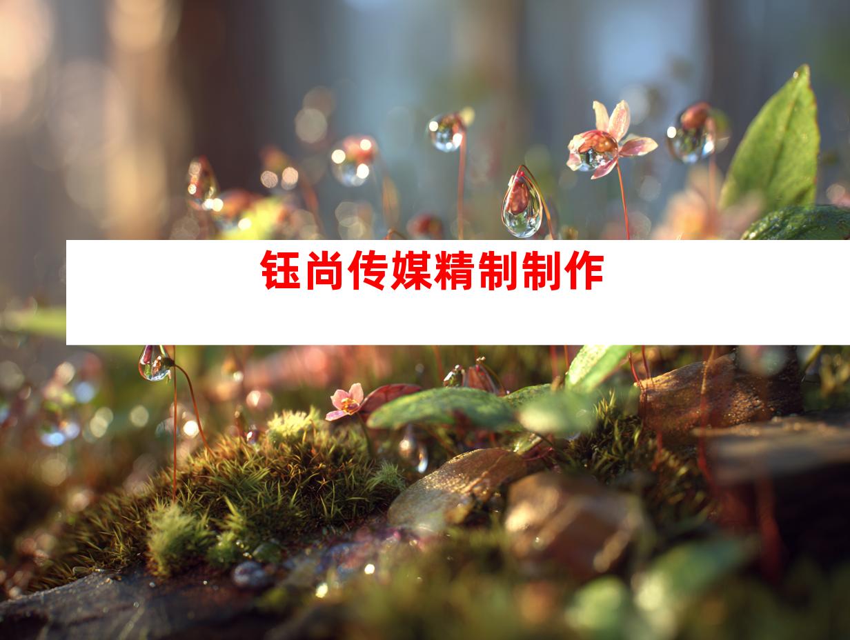 钰尚传媒精制制作