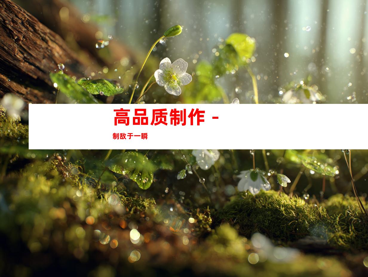 高品质制作 - 制敌于一瞬