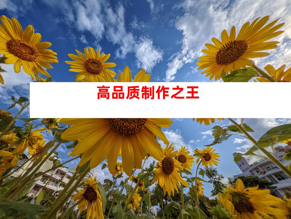 高品质制作之王