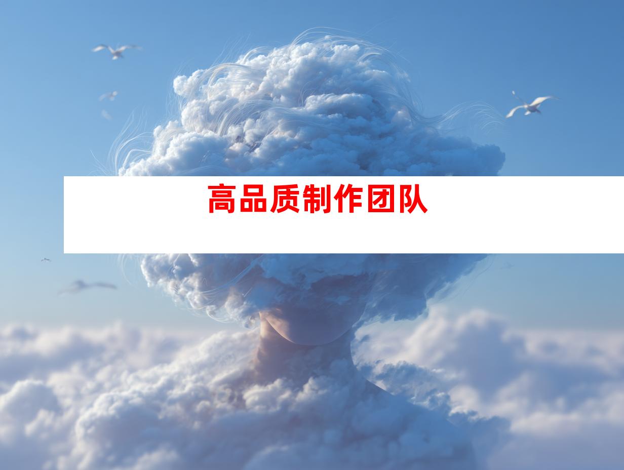 高品质制作团队